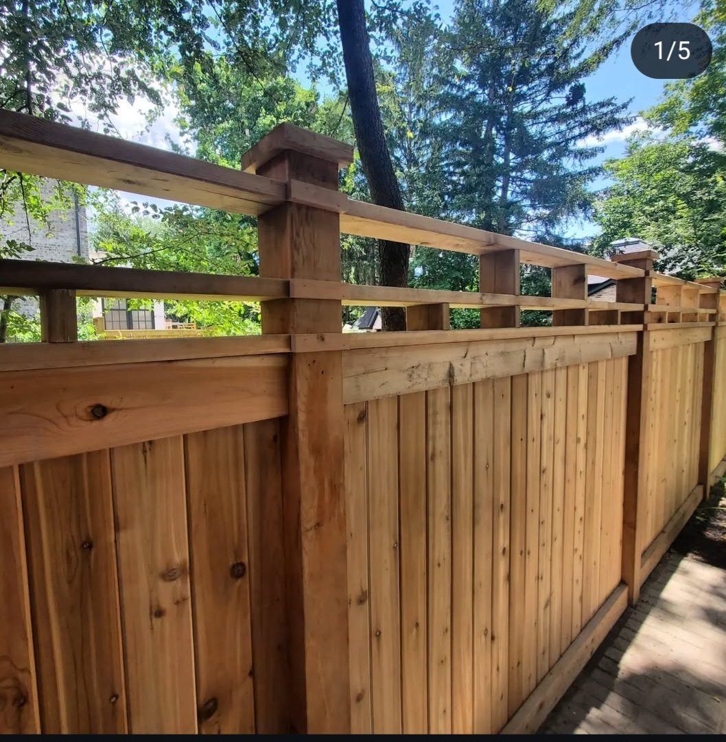 Cedar fencing — Kingsway