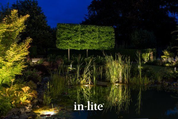 Hedge grazing lighting