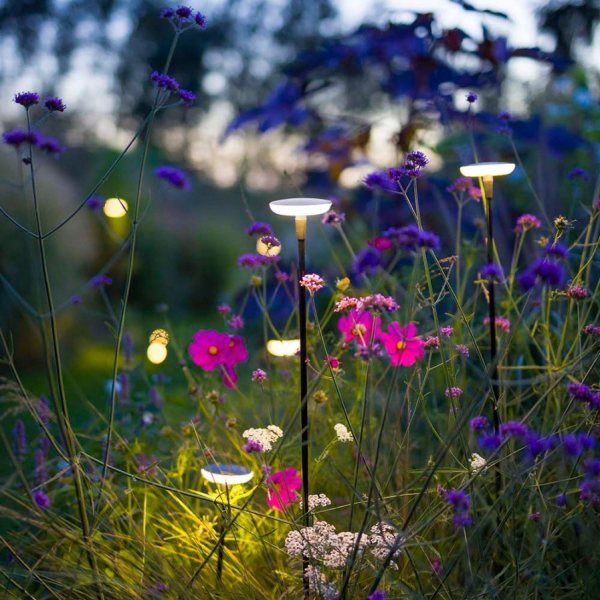 Mixed perennial planting with low-level lighting