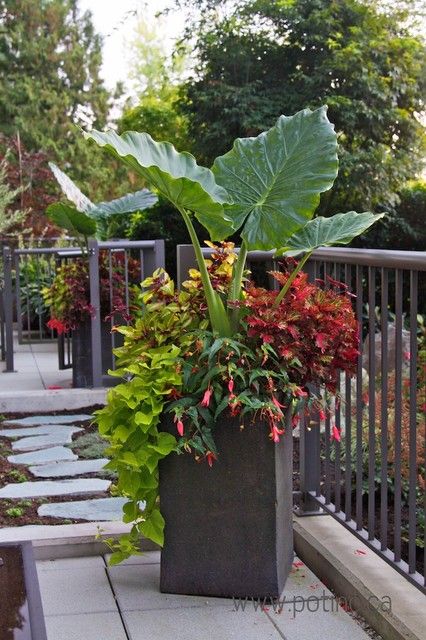 Bed planting