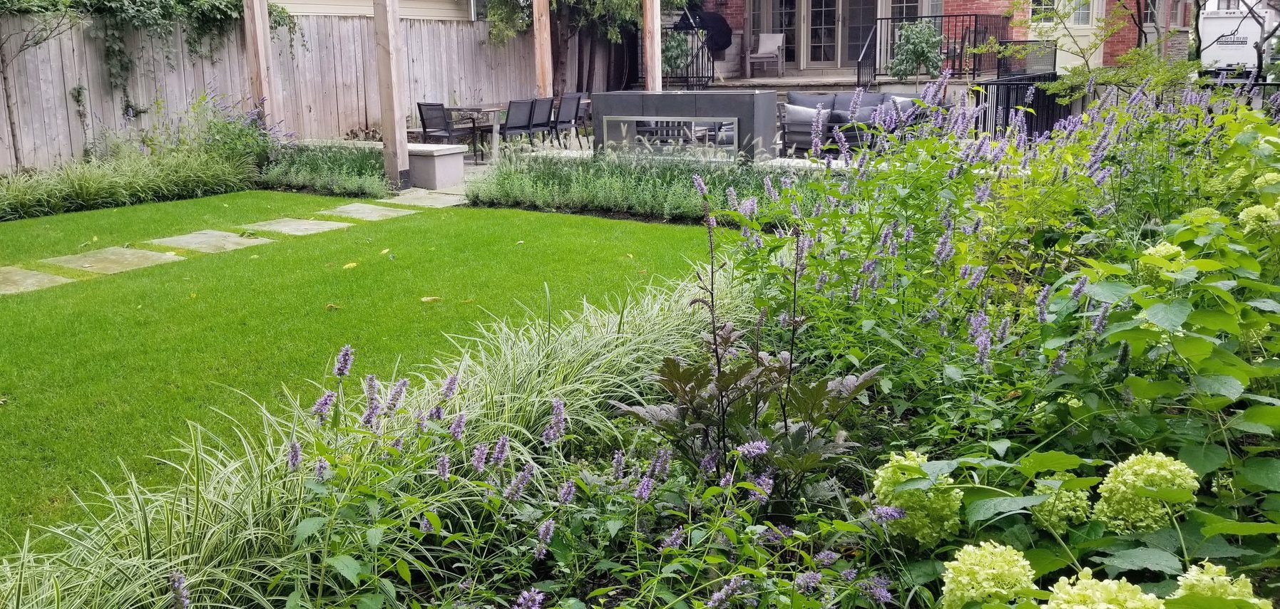 Finished garden with lawn, ornamental grasses and perennial borders